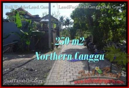 TANAH JUAL MURAH CANGGU BALI 2.5 Are View link villa